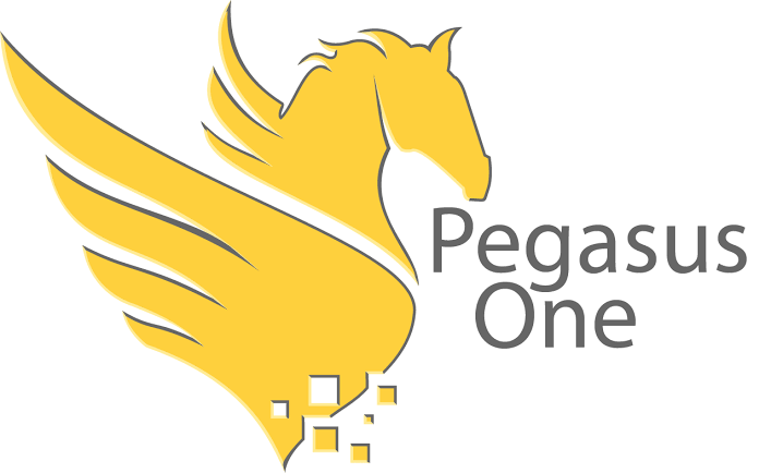 PegasusOne